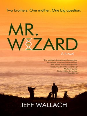cover image of Mr. Wizard